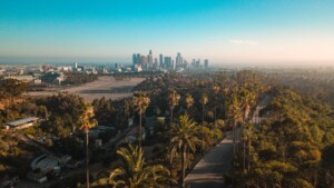 Panoramic view of Los Angeles with palm trees and city skyline in the background - Best Drivable Destinations from Los Angeles.