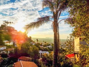 Scenic view of a residential area with palm trees and city skyline in the background