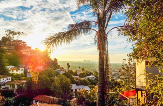 Scenic view of a residential area with palm trees and city skyline in the background