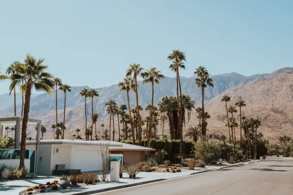 Palm Desert Guide 1 Residential street with palm trees and mountains in the background