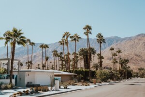 Residential street with palm trees and mountains in the background