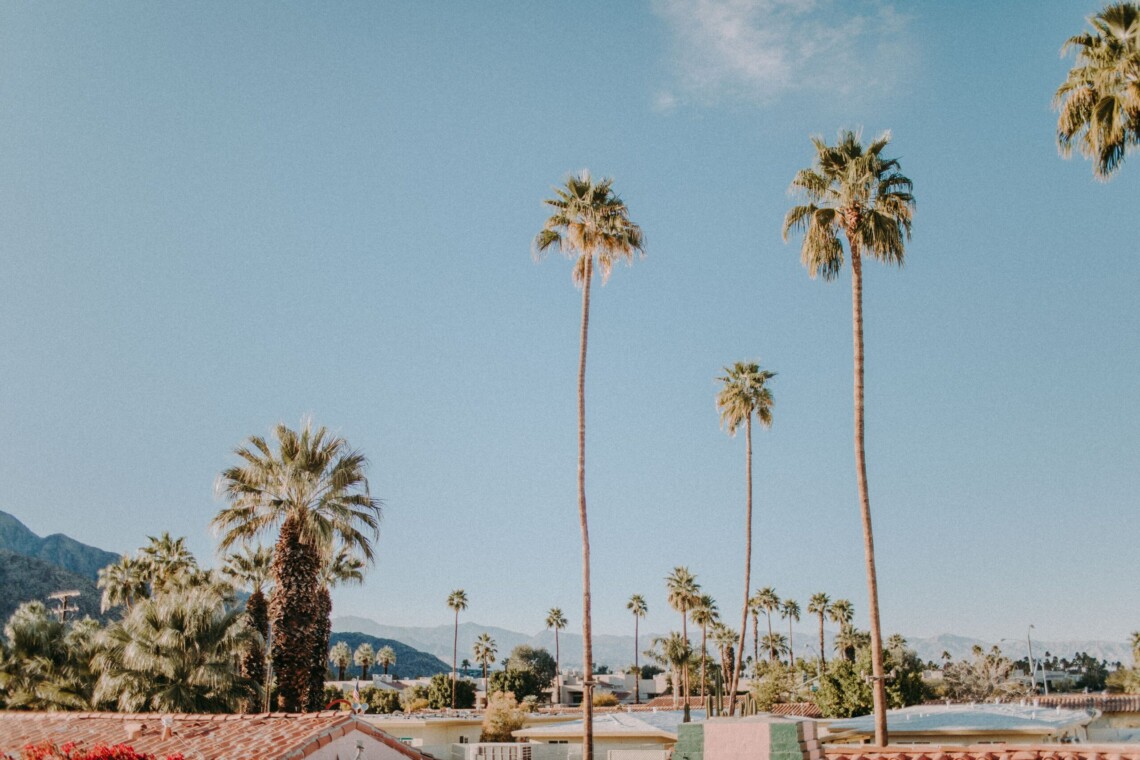 Pool area with palm trees and mountains in the background