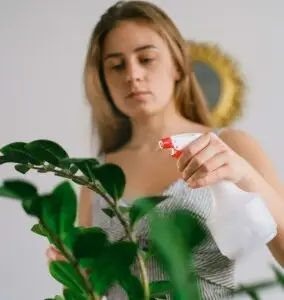 Woman spraying a houseplant with a spray bottle, demonstrating plant care in a short-term rental.