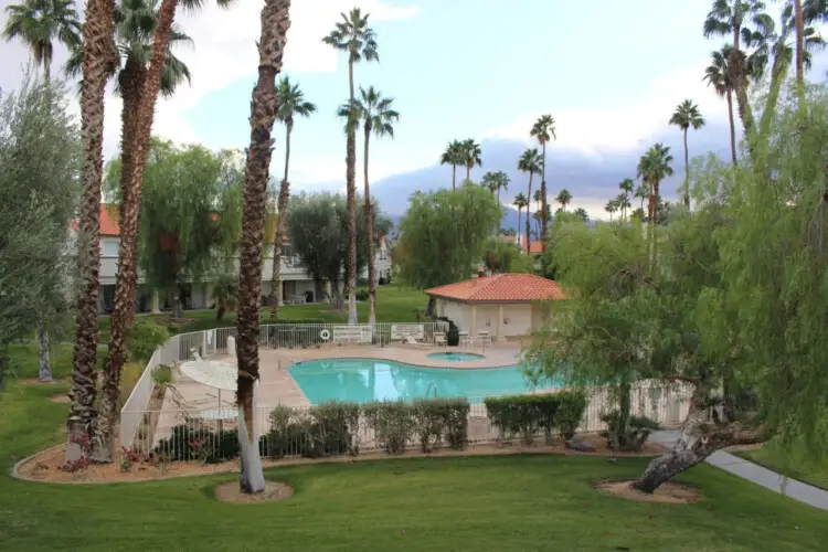 Swimming pool surrounded by a fence, palm trees, and grassy area at Desert Falls in this gated community - Family Home by Open Air Homes