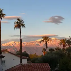 Outdoor scene with palm trees and mountains at Desert Falls - by Open Air Homes