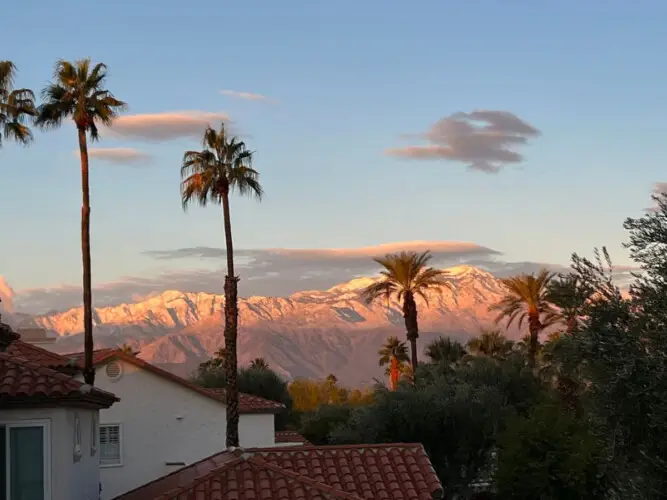 Outdoor scene with palm trees and mountains at Desert Falls - by Open Air Homes