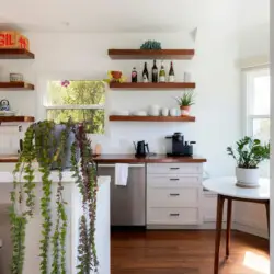 Modern kitchen with open shelving, plants, and natural light at Sun-Drenched Spanish Manor in Mar Vista - by Open Air Homes.