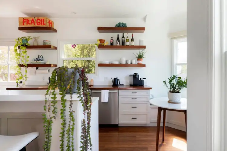 Modern kitchen with open shelving, plants, and natural light at Sun-Drenched Spanish Manor in Mar Vista - by Open Air Homes.