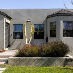 Exterior of house with gray facade and cactus