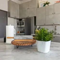 Kitchen counter with plant, cutting board, and paper towel holder at Skyline View Loft with Chef's Kitchen: DTLA - by Open Air Homes.