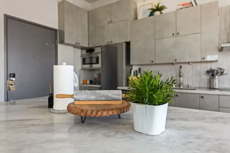 Kitchen counter with plant, cutting board, and paper towel holder at Skyline View Loft with Chef's Kitchen: DTLA - by Open Air Homes.