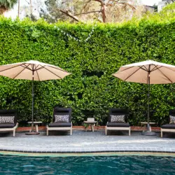 Poolside area of Laurel Canyon Classic Hollywood Residence W/ Pool with lounge chairs, umbrellas, and greenery by Open Air Homes.