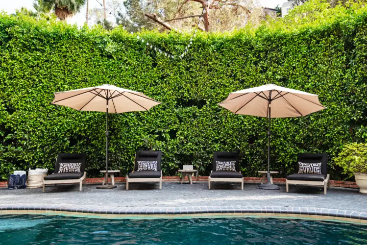 Poolside area of Laurel Canyon Classic Hollywood Residence W/ Pool with lounge chairs, umbrellas, and greenery by Open Air Homes.