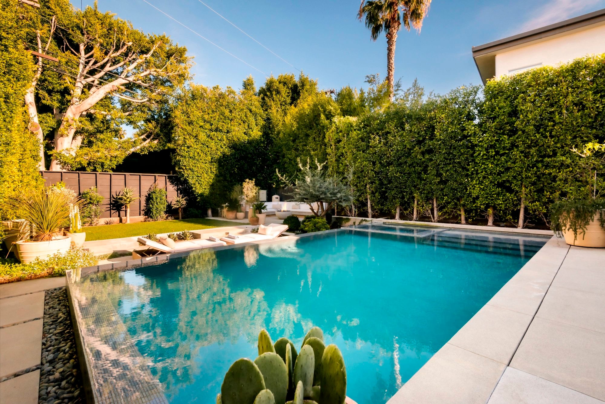 Pool and garden with palms and mature trees