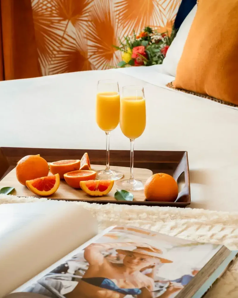 043154_Ocotillo Retreat Palm Springs_Aug_2025