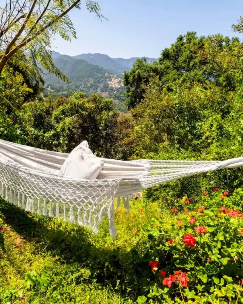 Hammock hanging between trees in a garden at Canyon Crest Cottage and Garden – by Open Air Homes.